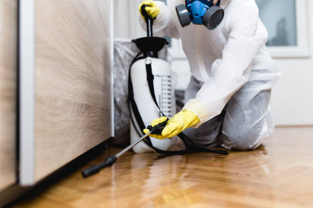 Best Flea Control Services  in Colleyville, TX