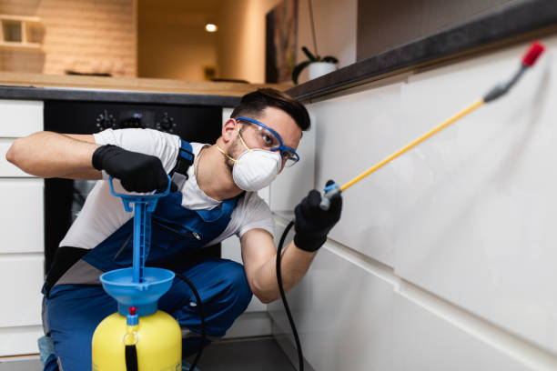 Wasp Removal Services in Colleyville, TX