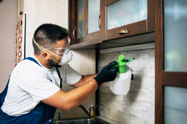  Colleyville, TX Pest Control Pros