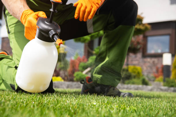 Pest Prevention Services in Colleyville, TX