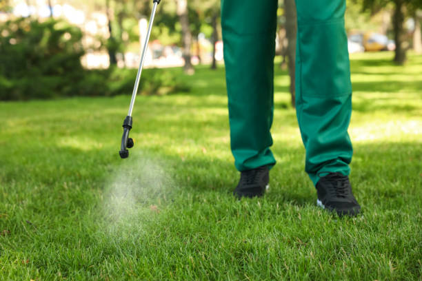 Best Flea Control Services  in Colleyville, TX