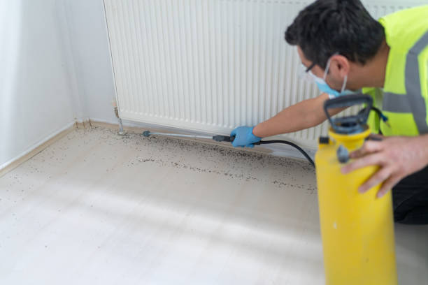 Best Ant Control Services  in Colleyville, TX