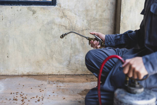 Best Exterminator Services  in Colleyville, TX
