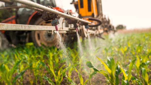Pest Control Cost in Colleyville, TX
